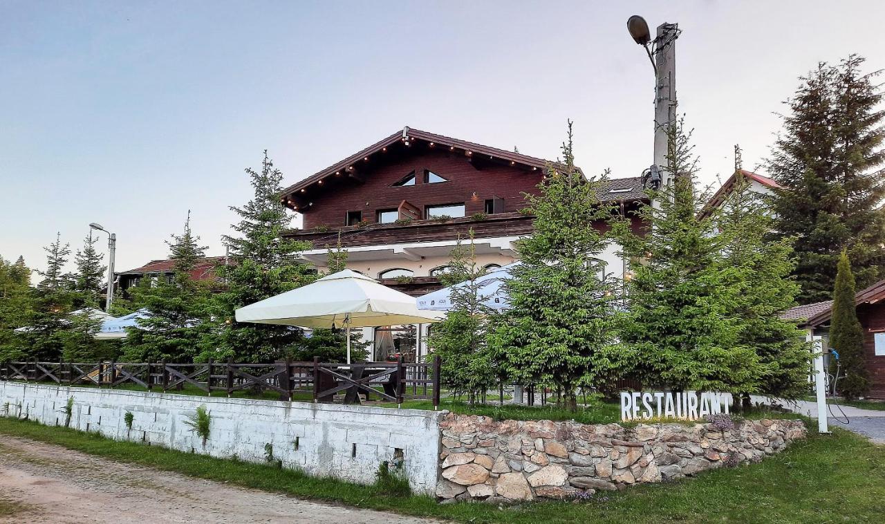 Pensiune & Restaurant Victoria Păltiniş Екстериор снимка