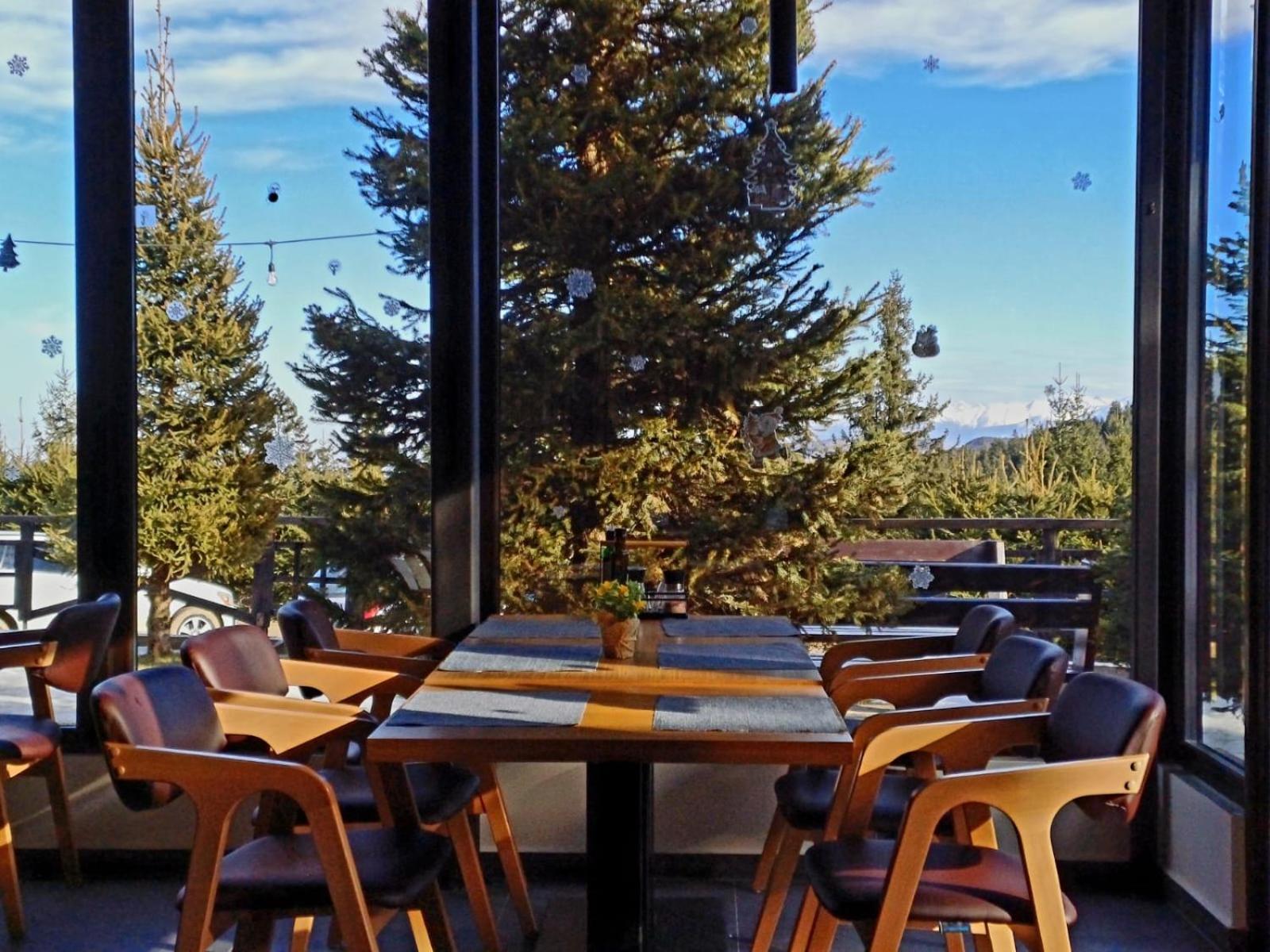 Pensiune & Restaurant Victoria Păltiniş Екстериор снимка